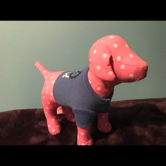 VS Pink dog - Picture 1 of 4